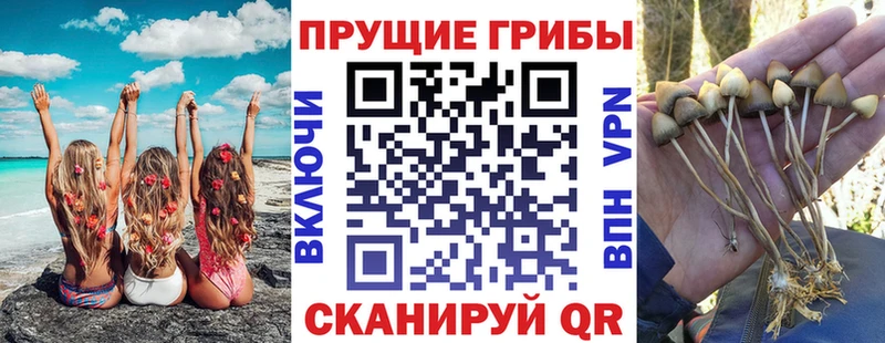 Галлюциногенные грибы Magic Shrooms  Павловская 