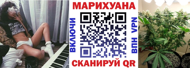 Бошки Шишки план  Павловская 